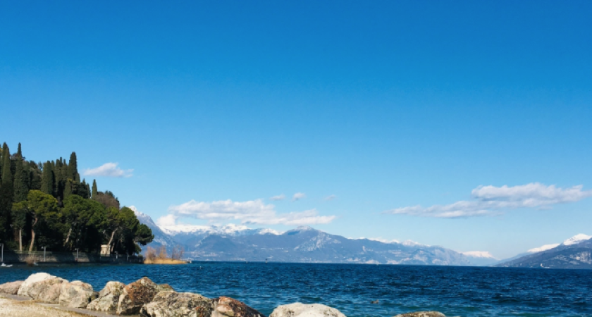 Ente ruht am Strand, See und Berge im Hintergrund.