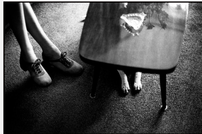 Mostra fotografica di Elliott Erwitt in collaborazione con Magnum Photos