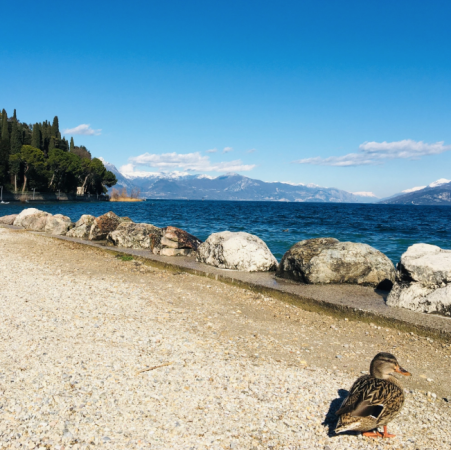 CONCERTI ALLA SPIAGGIA DELLE MUSE 